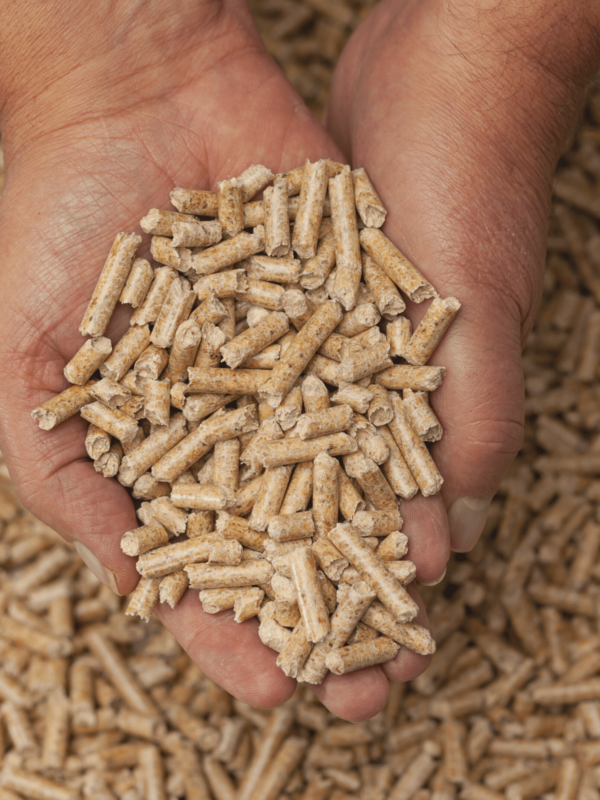 biopellet (1)